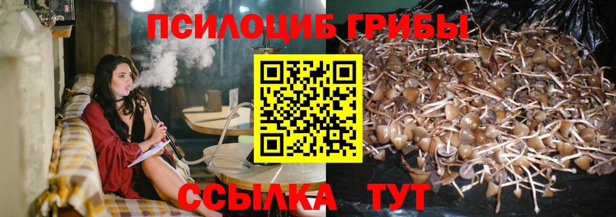 Галлюциногенные грибы MAGIC MUSHROOMS  Псилоцибиновые грибы мицелий  Серов  Вход с VPN 